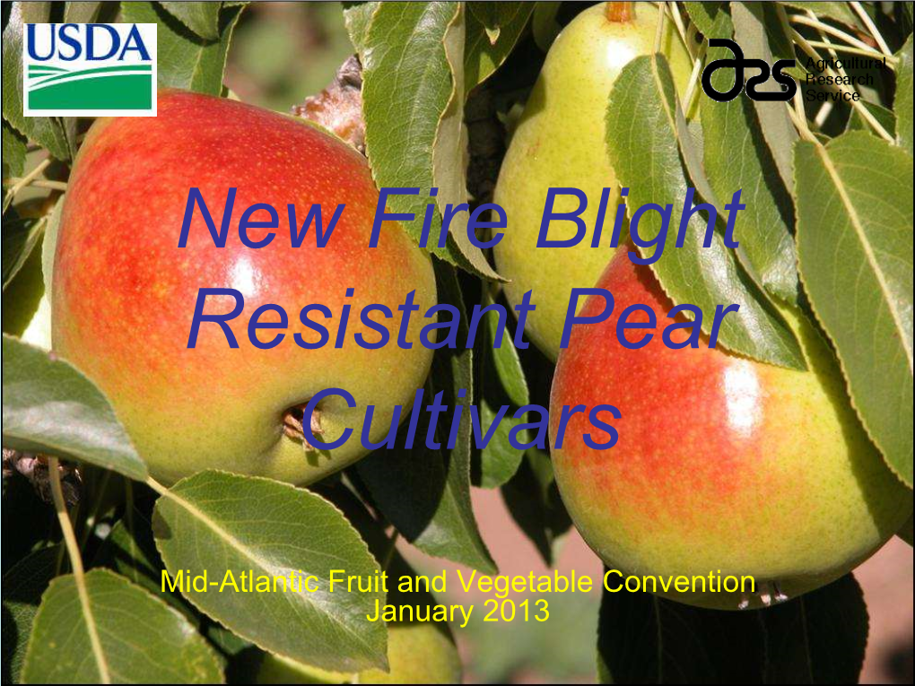 Breeding New Pear Varieties: Developments from USDA And
