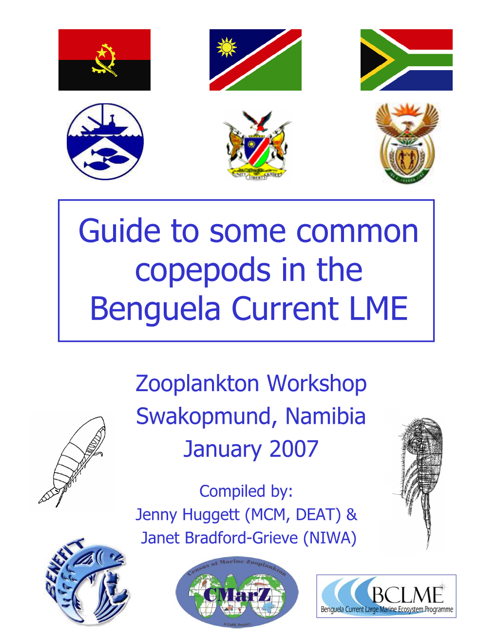 Guide to Some Common Copepods in the Benguela Current LME.Pdf