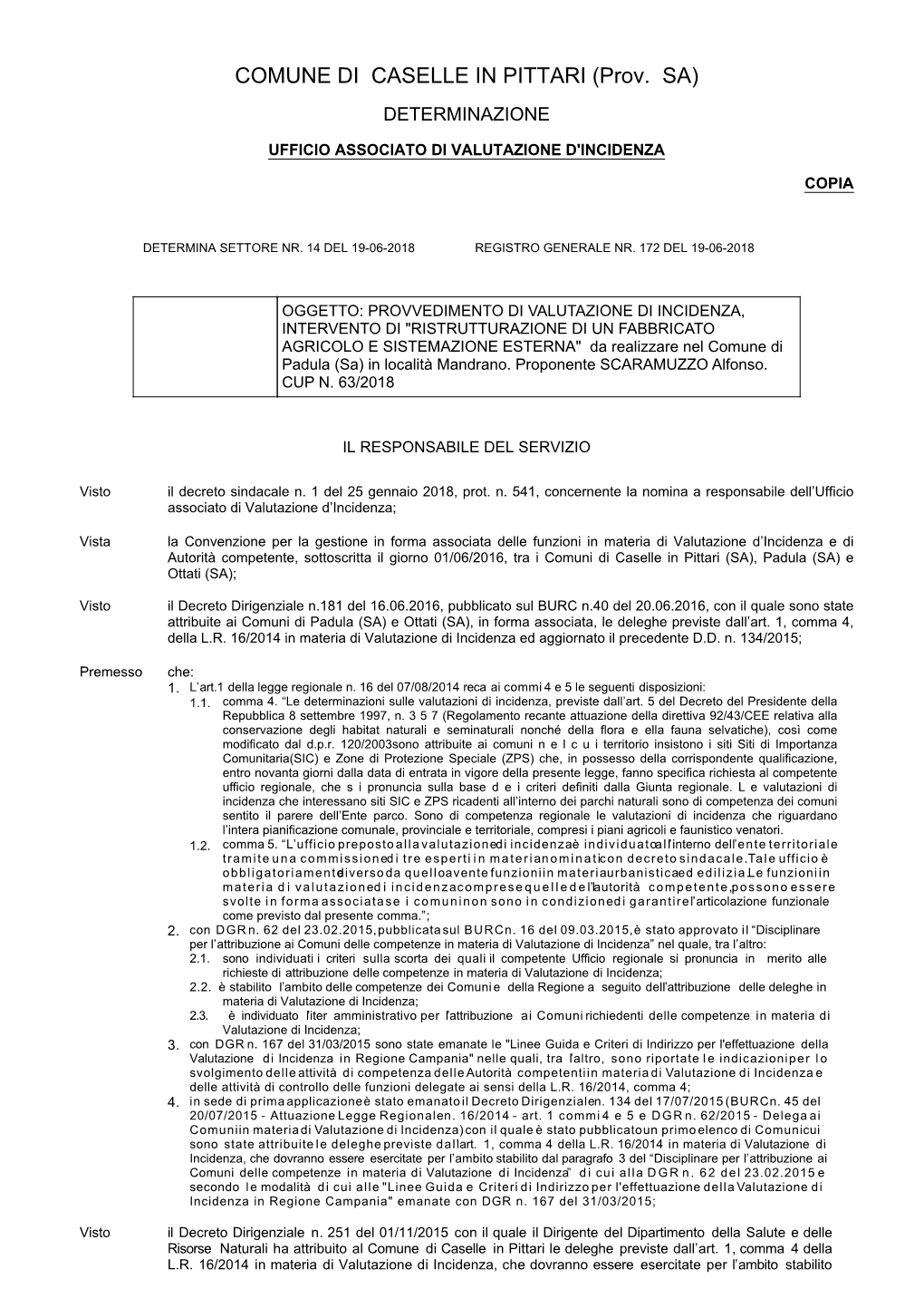Page 1 COMUNE DI CASELLE in PITTARI (Prov. SA