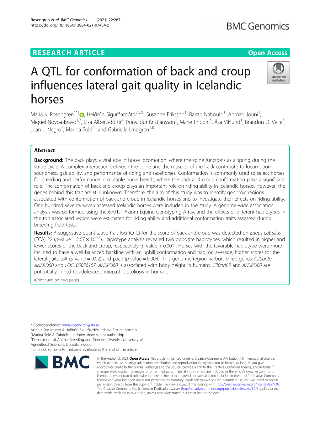 A QTL for Conformation of Back and Croup Influences Lateral Gait Quality in Icelandic Horses Maria K