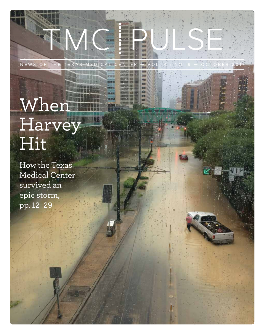 When Harvey Hit How the Texas Medical Center Survived an Epic Storm, Pp