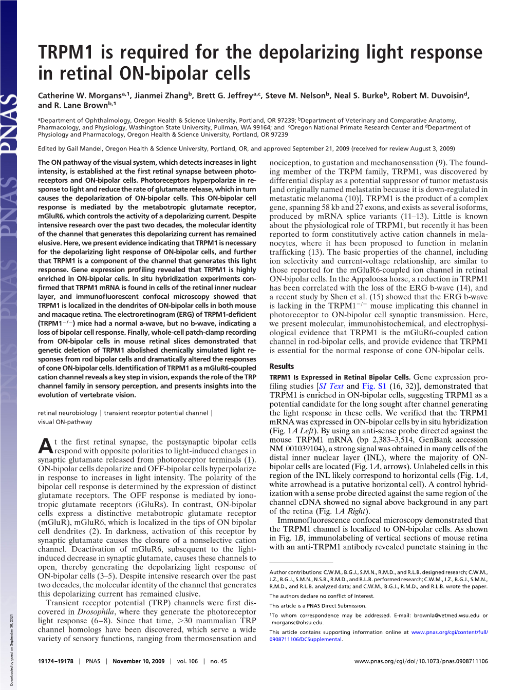 TRPM1 Is Required for the Depolarizing Light Response in Retinal ON-Bipolar Cells