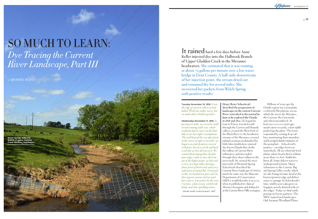 So Much to Learn: Dye Tracing the Current River Landscape, Part III | the Confluence