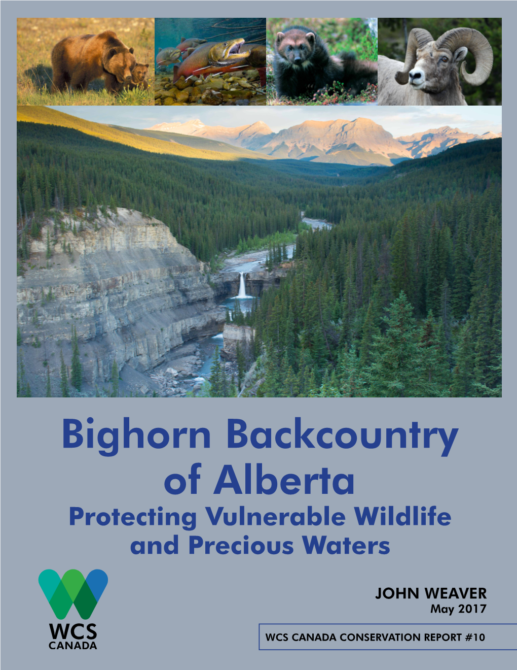 Bighorn Backcountry of Alberta Protecting Vulnerable Wildlife and Precious Waters