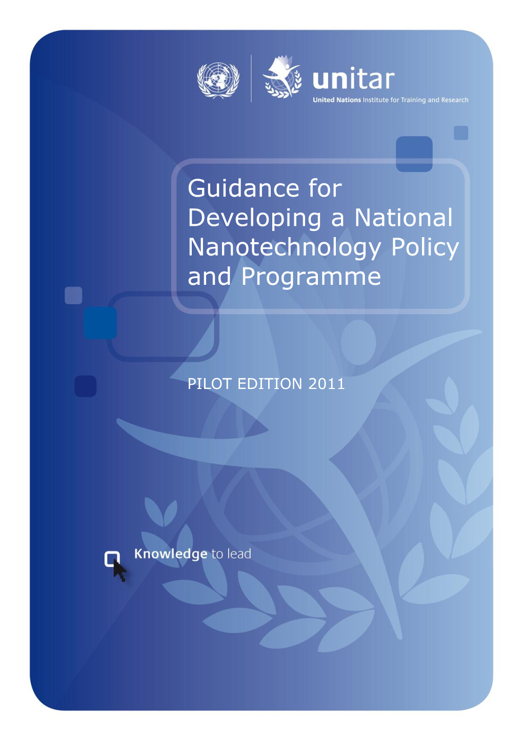 Guidance for Developing a National Nanotechnology Policy and Programme