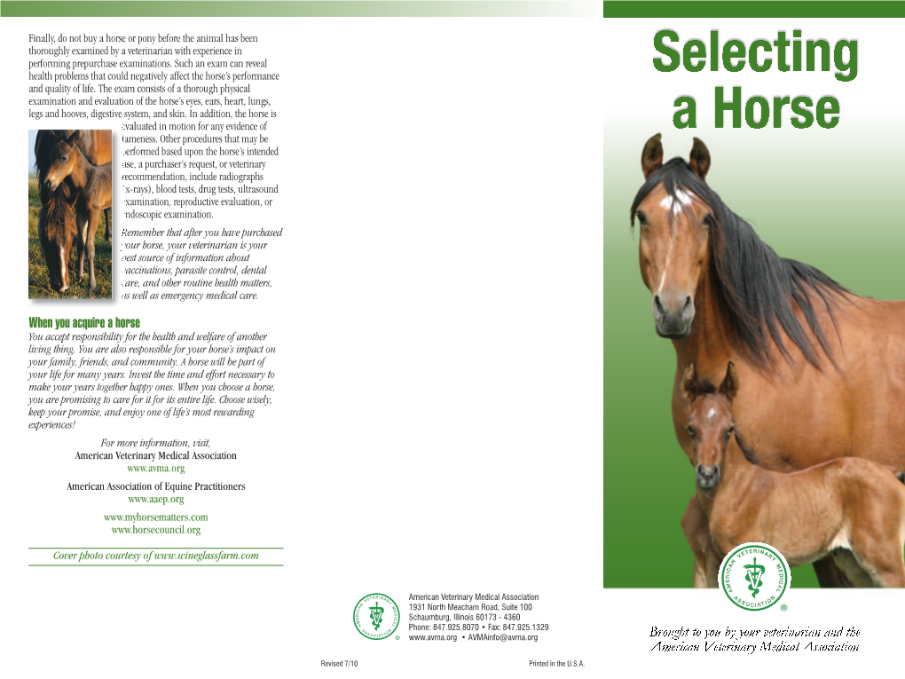 Selecting a Horse (English)