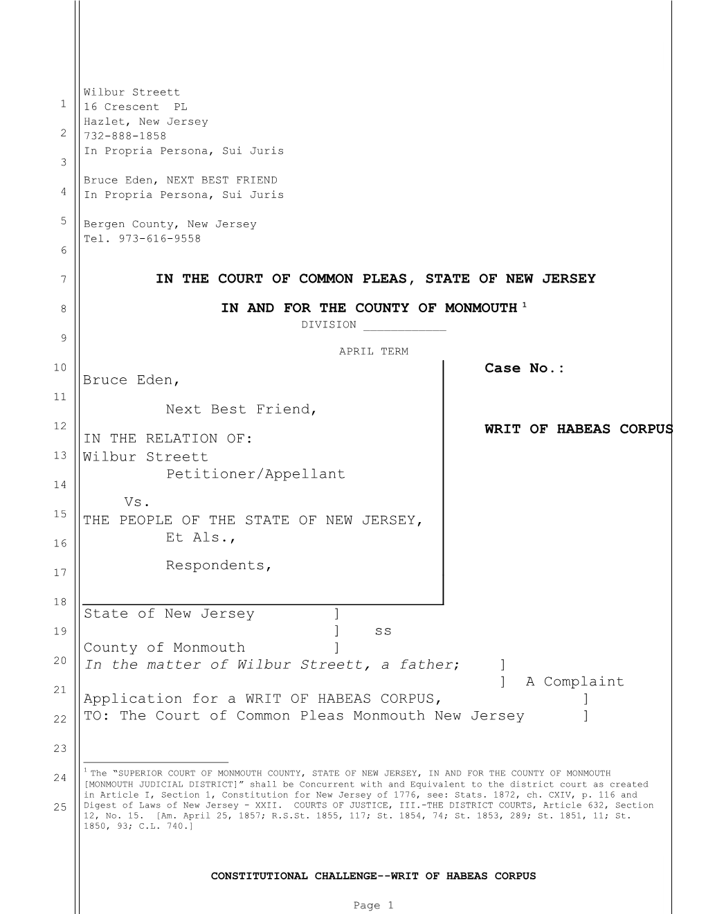 3Rd Appellate Pleading Template