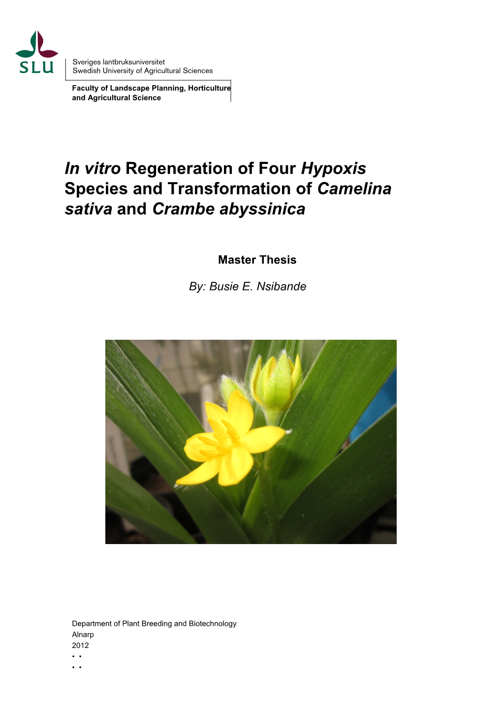 In Vitro Regeneration of Four Hypoxis Species and Transformation of Camelina Sativa and Crambe Abyssinica