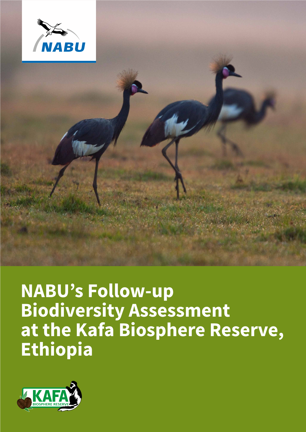 NABU's Follow-Up Biodiversity Assessment at the Kafa Biosphere