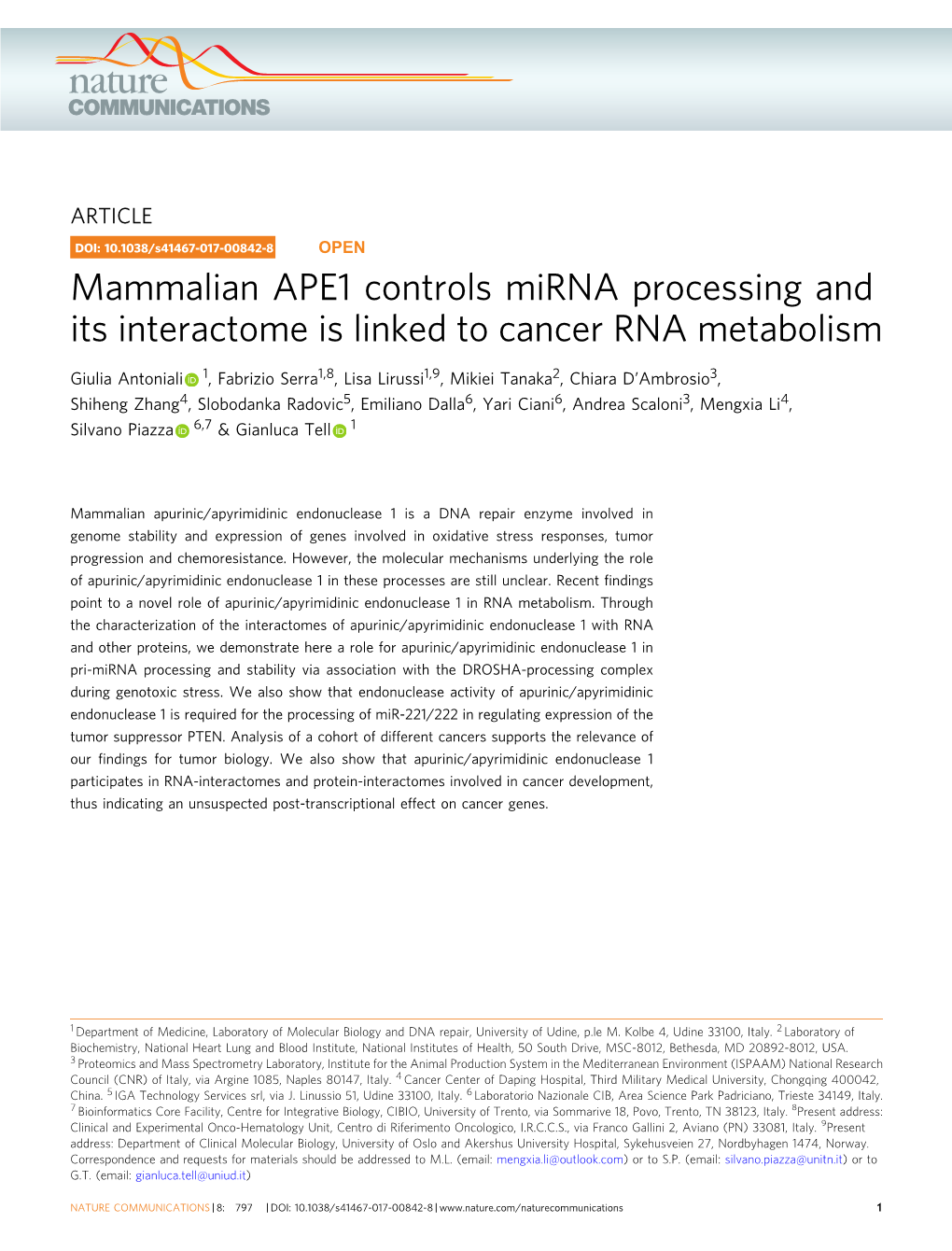 Mammalian APE1 Controls Mirna Processing and Its Interactome Is Linked to Cancer RNA Metabolism