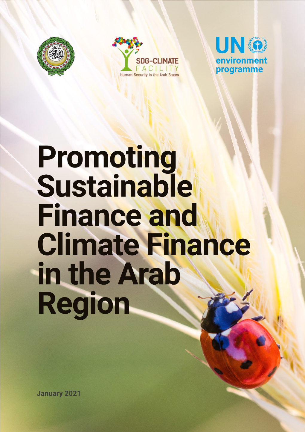 Promoting Sustainable Finance and Climate Finance in the Arab Region