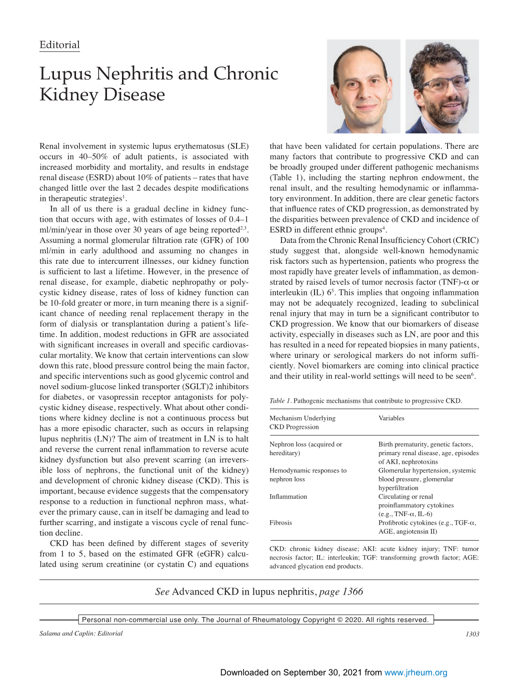 Lupus Nephritis and Chronic Kidney Disease