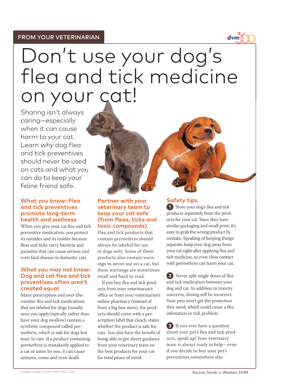 Don't Use Your Dog's Flea and Tick Medicine On