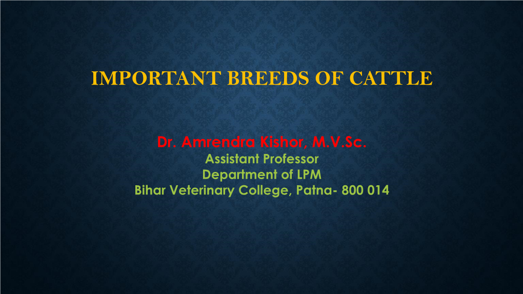 Important Breeds of Cattle