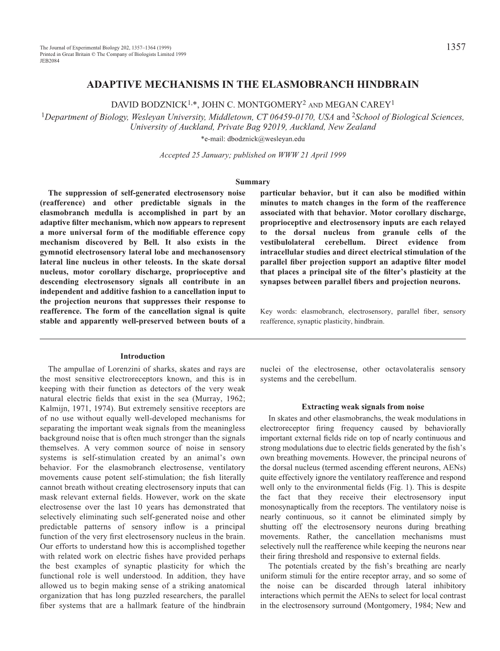 Adaptive Mechanisms in the Elasmobranch Hindbrain