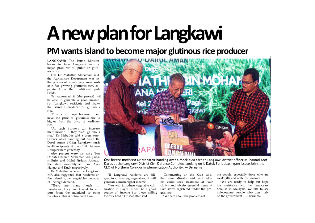 A New Plan for Langkawi PM Wants Island to Become Major Glutinous Rice Producer