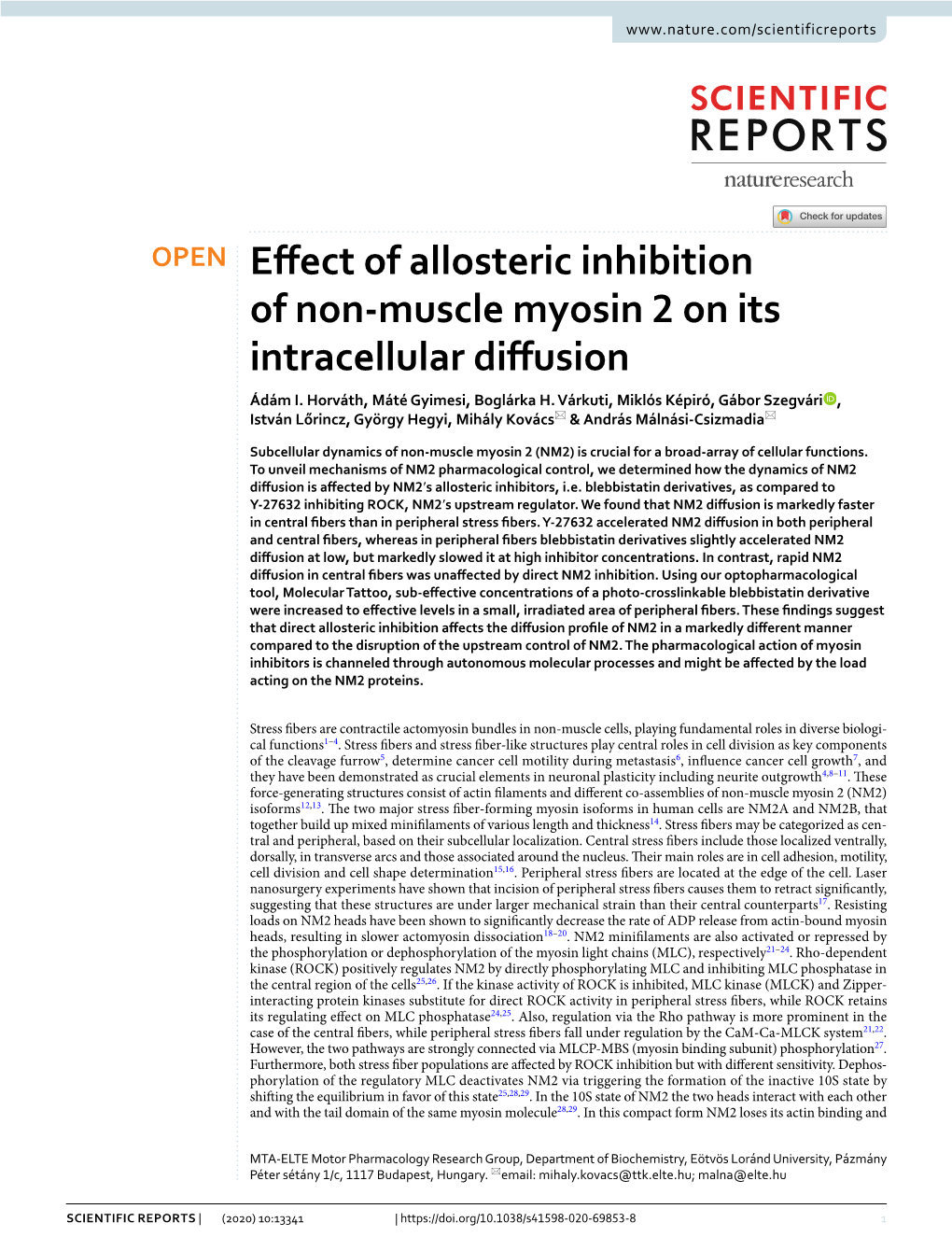 Effect of Allosteric Inhibition of Non-Muscle Myosin 2 on Its