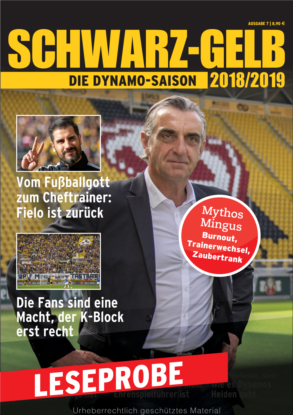 Schwarz-Gelb Die Dynamo-Saison 2018/2019