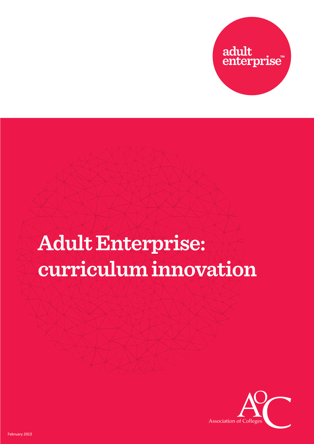 Adult Enterprise: Curriculum Innovation