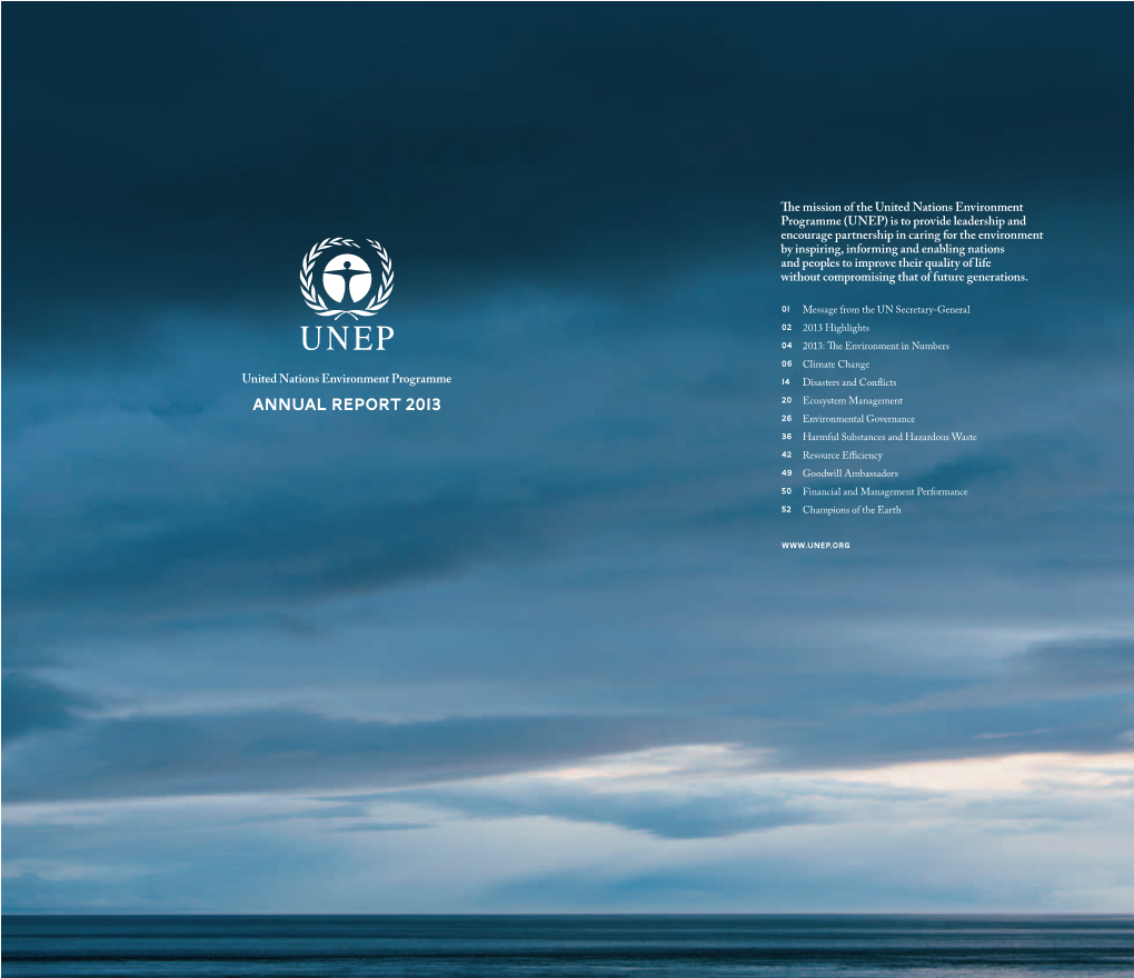 Annual Report 2013