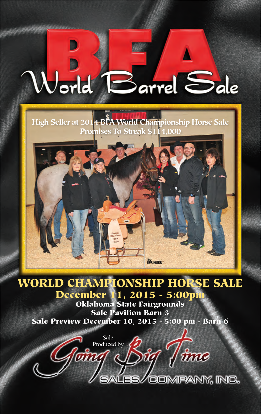 World Championship Horse Sale Championship Horse World BFA High Seller at 2014 WORLD CHAMPIONSHIP HORSE SALE WORLD CHAMPIONSHIP