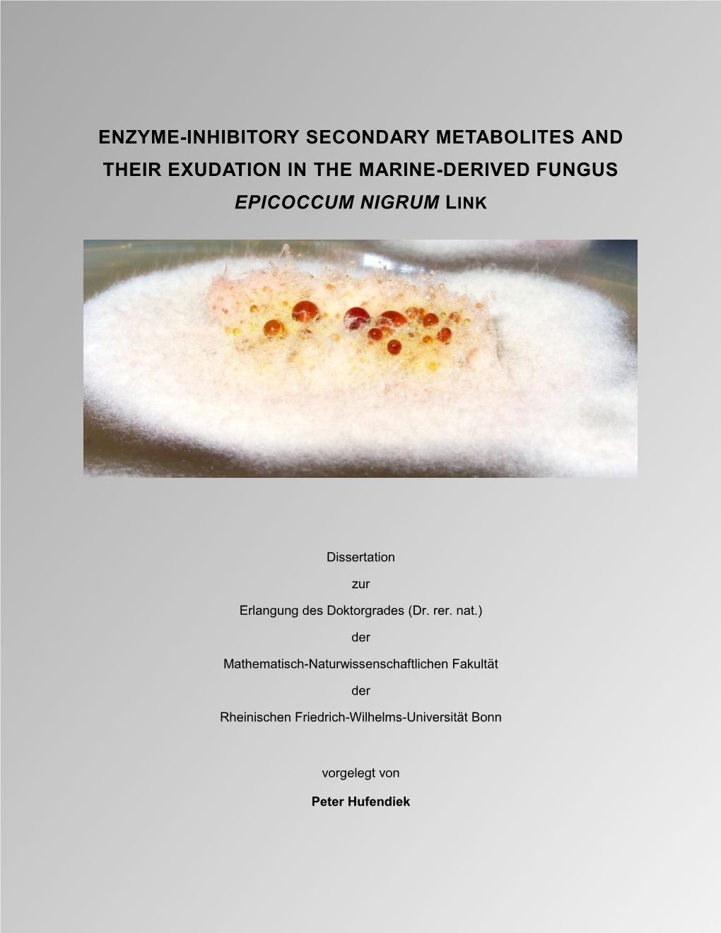Enzyme-Inhibitory Secondary Metabolites and Their Exudation in the Marine-Derived Fungus Epicoccum Nigrum Link