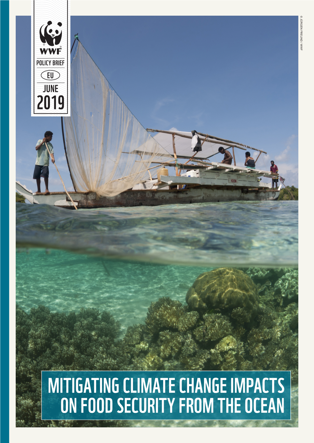 Mitigating Climate Change Impacts on Food Security from the Ocean Executive Summary