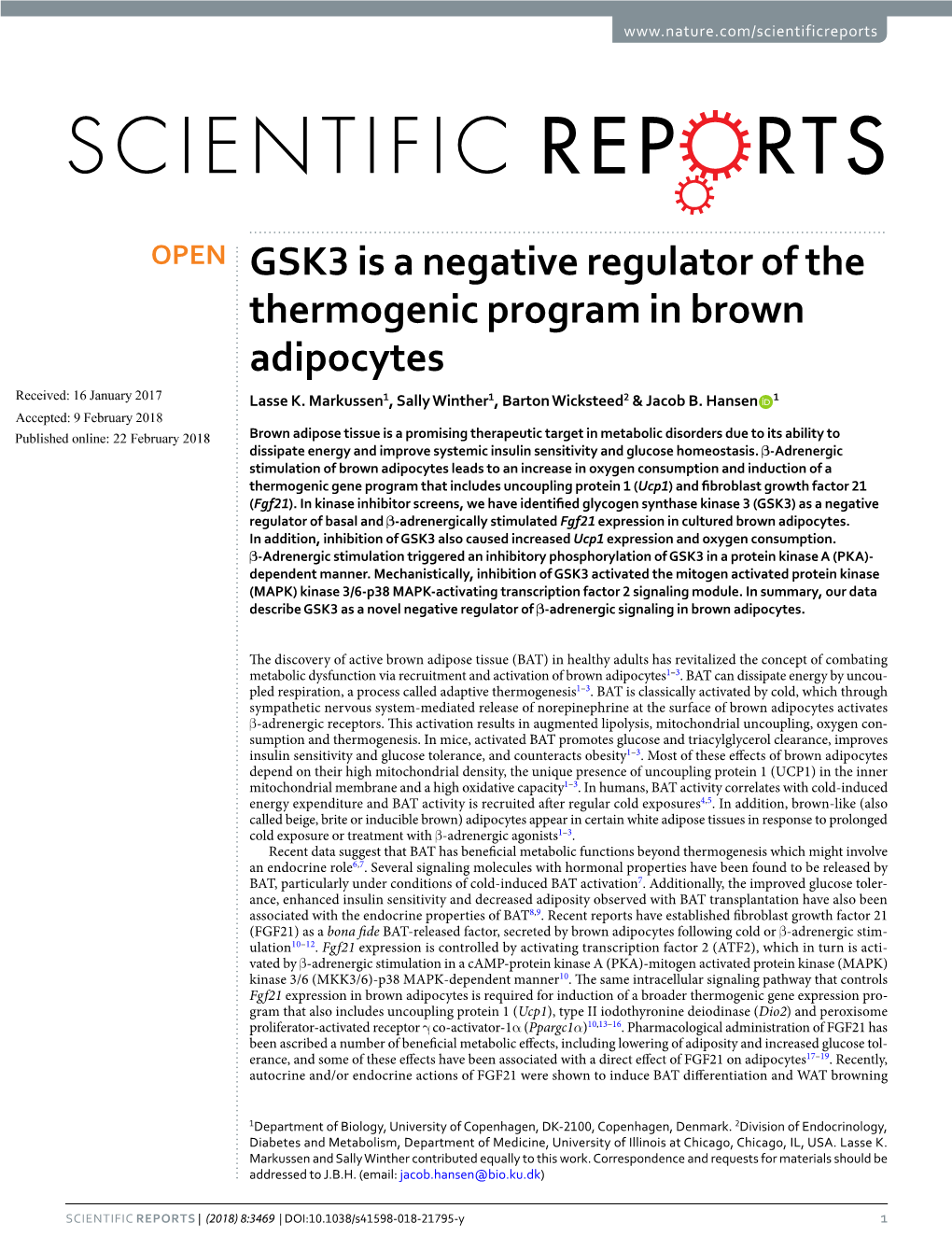 GSK3 Is a Negative Regulator of the Thermogenic Program in Brown Adipocytes Received: 16 January 2017 Lasse K