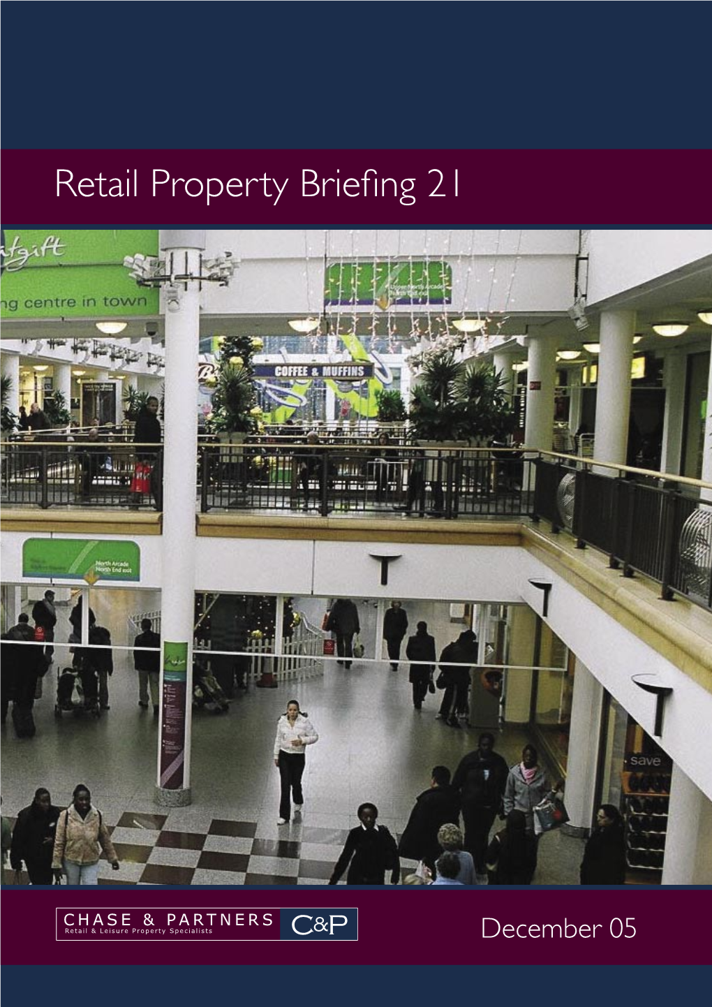 2005 Retail Property Briefing Paper