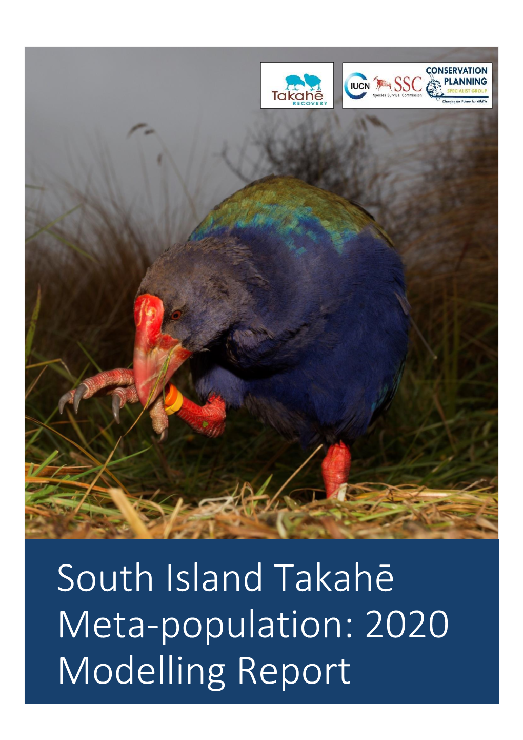 South Island Takahē Meta-Population: 2020 Modelling Report 1