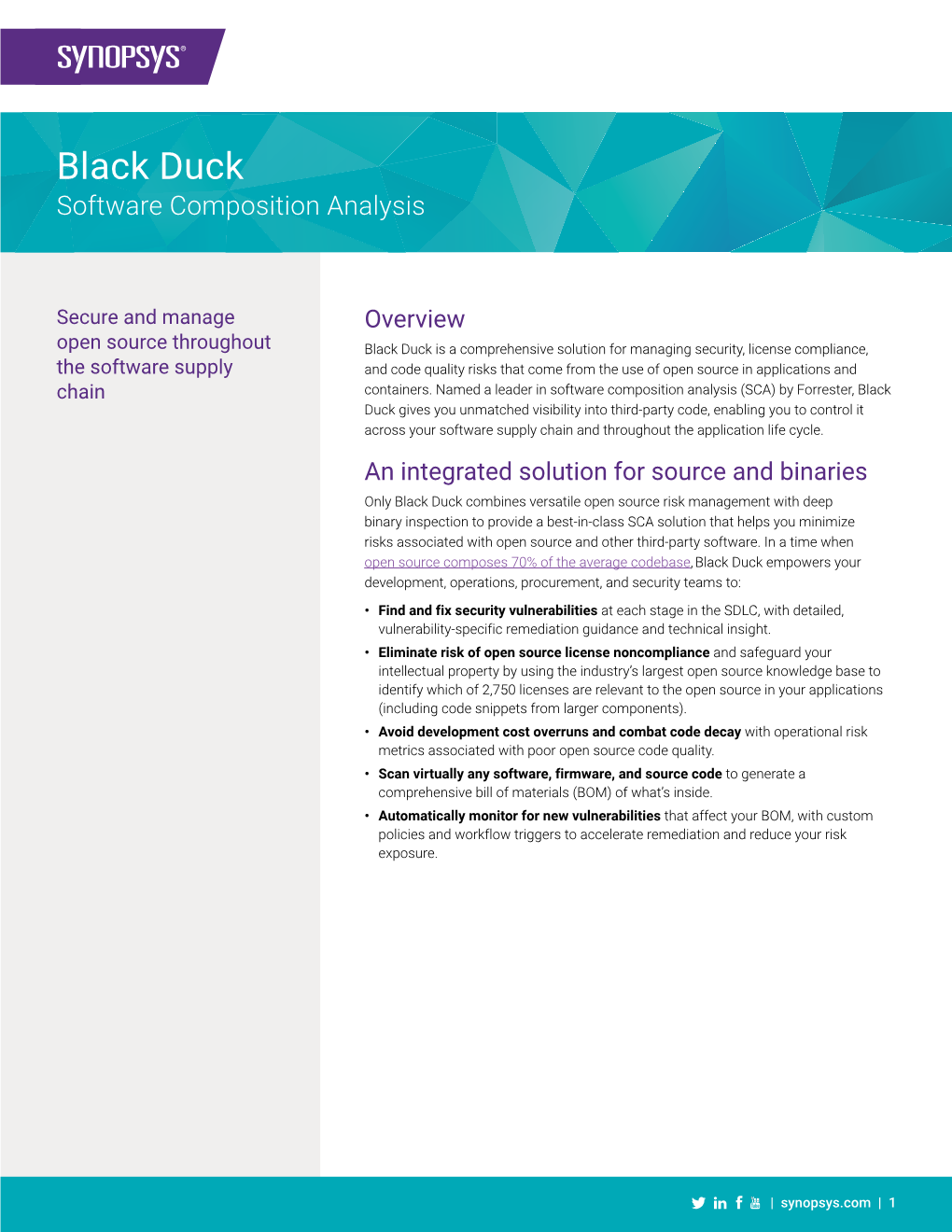 Black Duck Software Composition Analysis