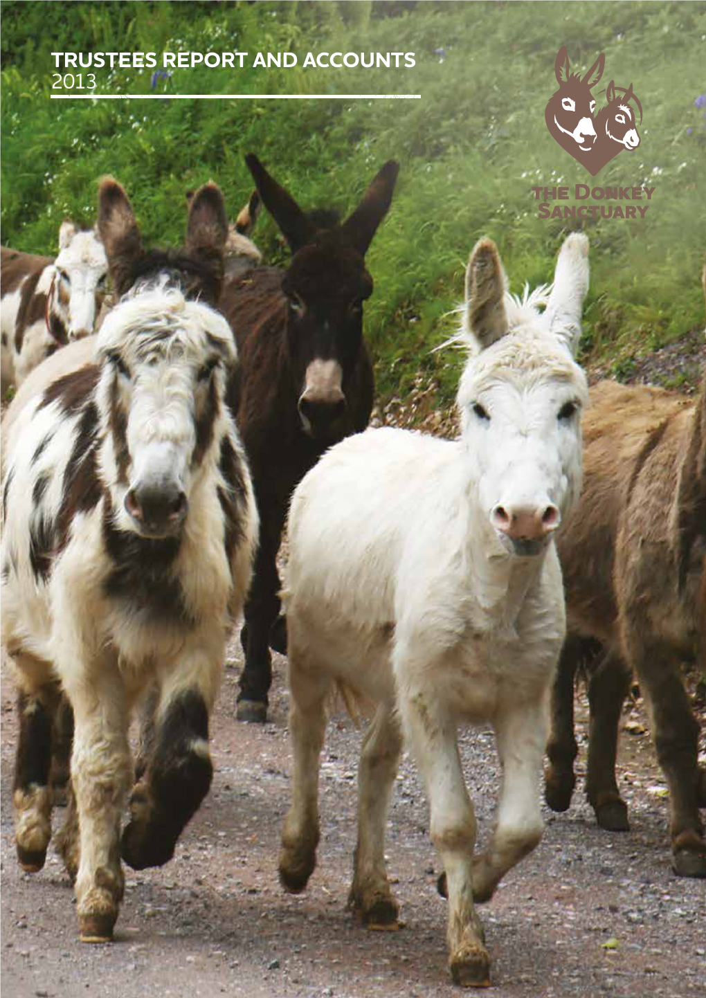 The Donkey Sanctuary Newsletter Summer 2013; Issue Number 75