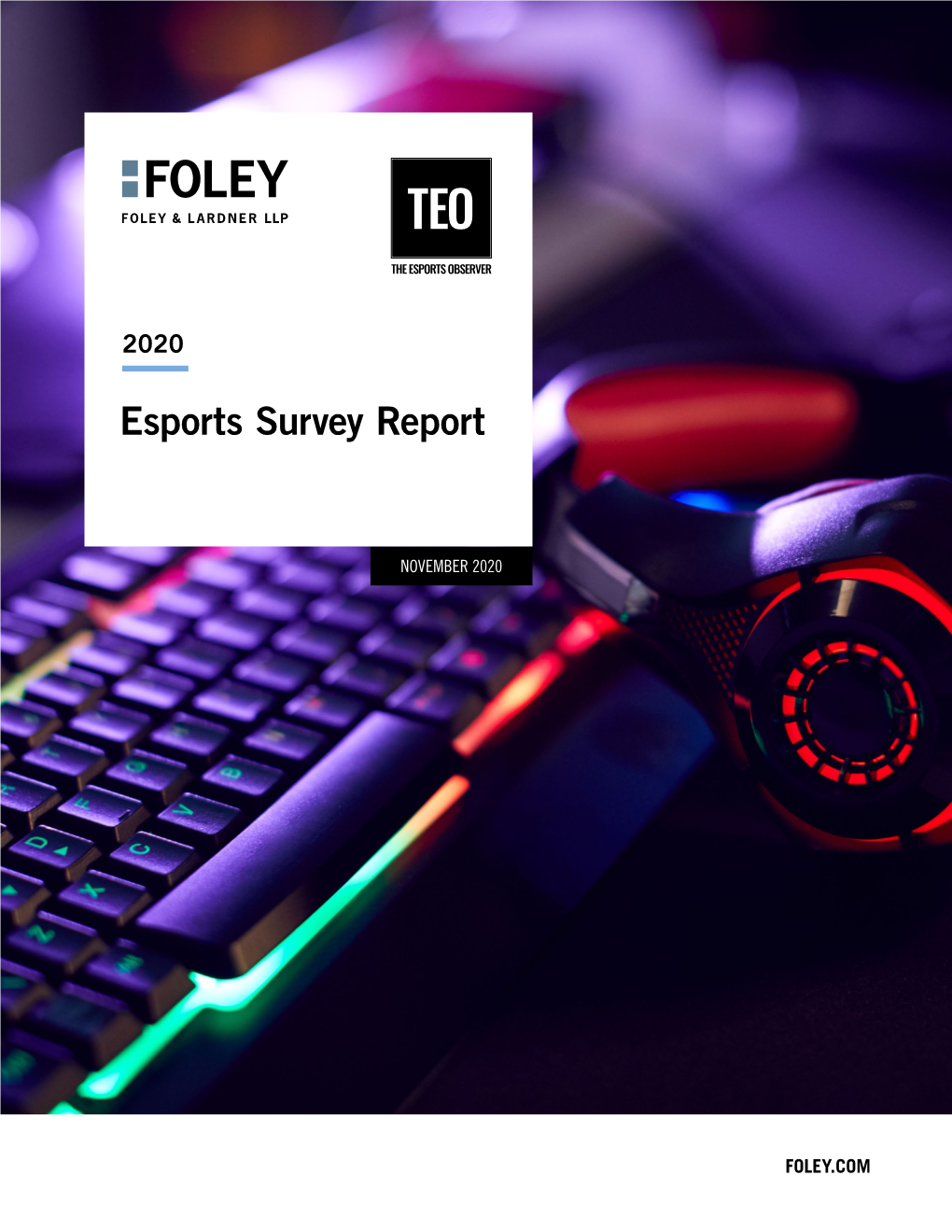 Esports Survey Report