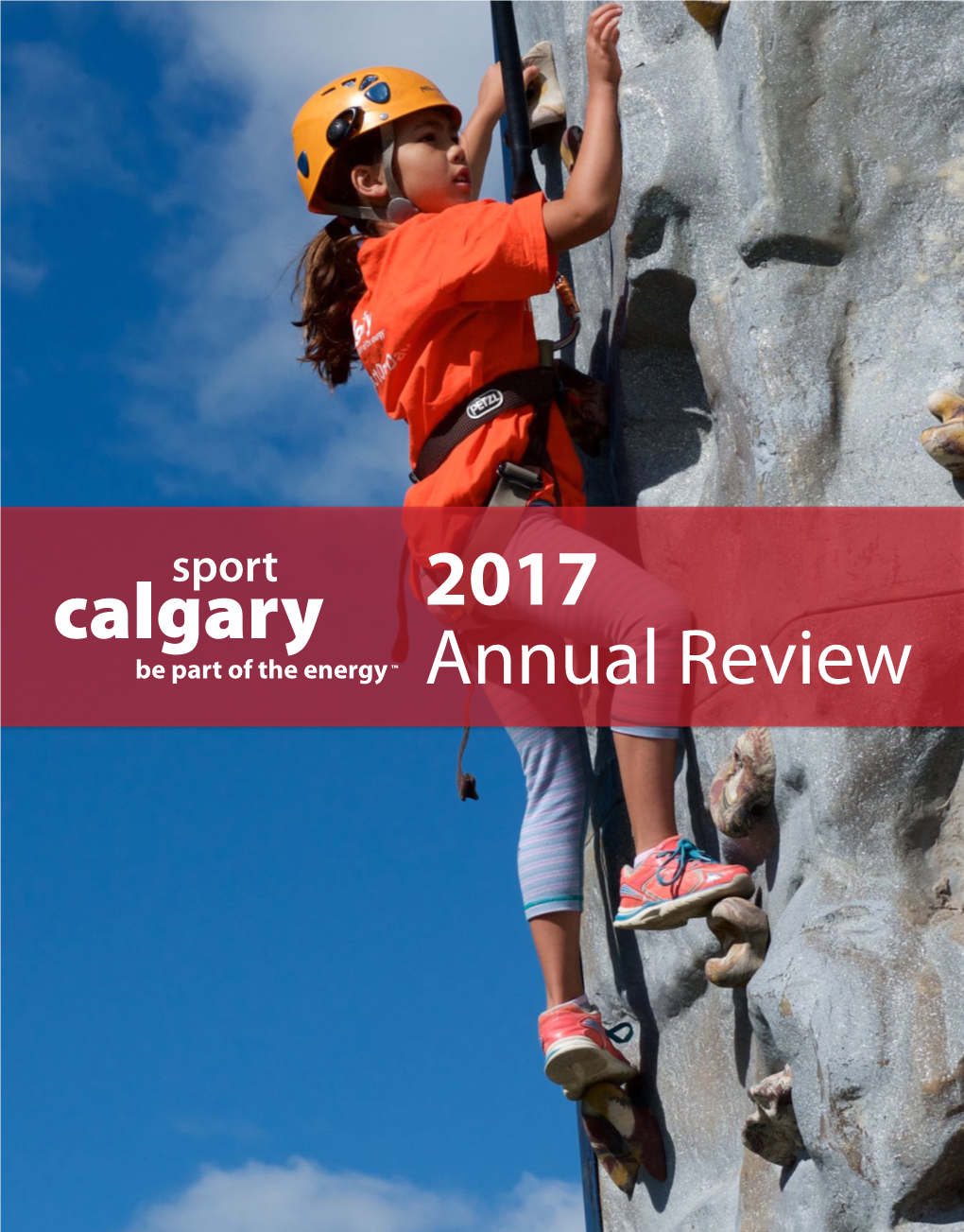 Annual Review 2017