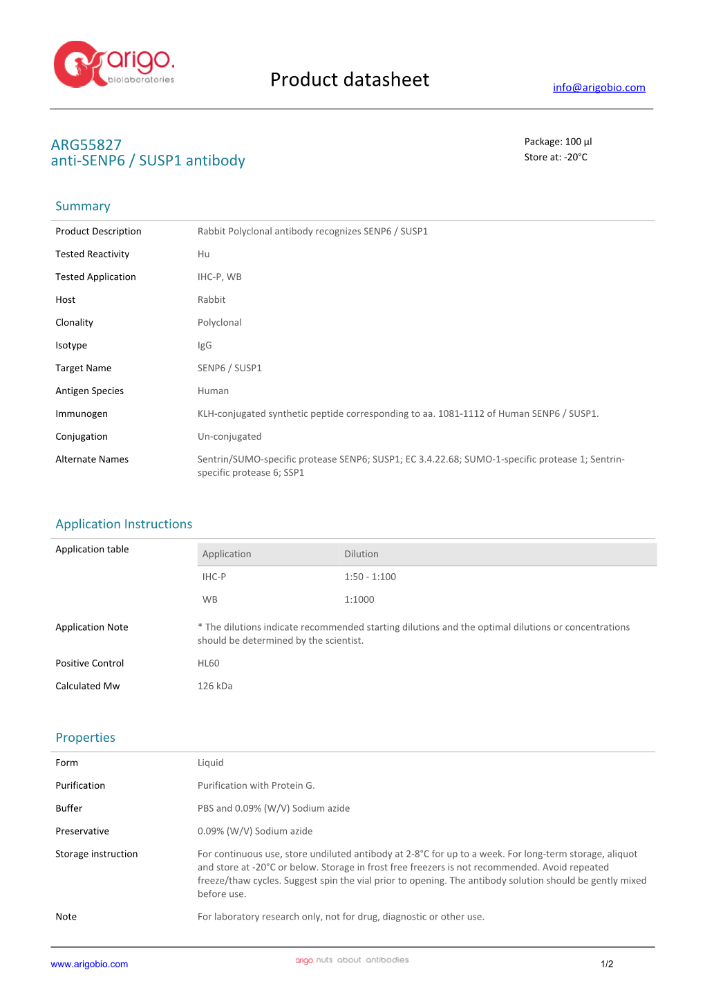 Anti-SENP6 / SUSP1 Antibody (ARG55827)