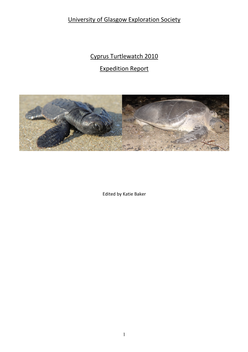 University of Glasgow Exploration Society Cyprus Turtlewatch 2010