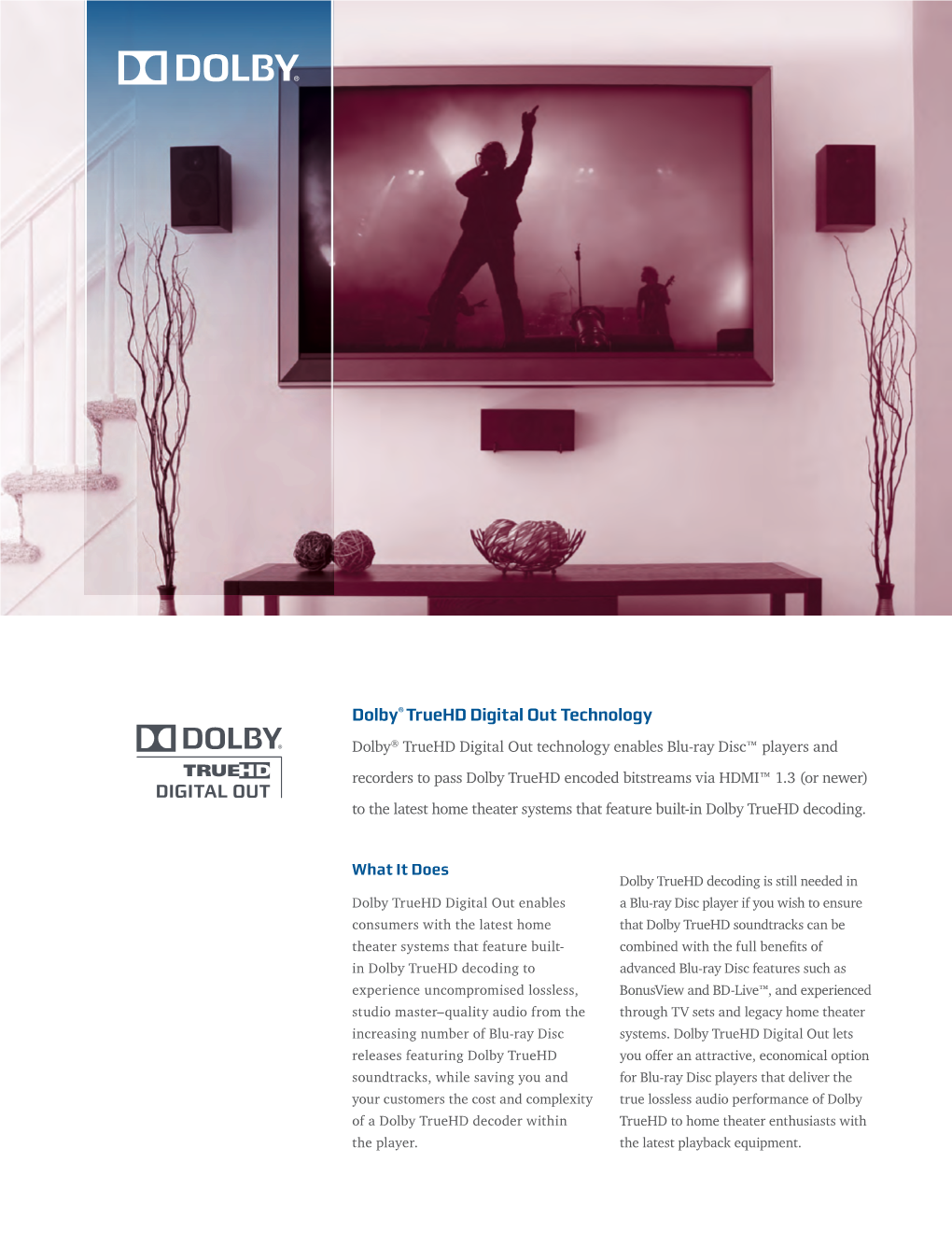 Dolby Truehd Digital out Overview