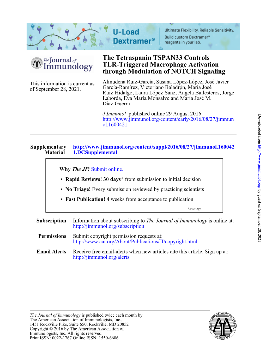 The Tetraspanin TSPAN33 Controls TLR-Triggered Macrophage Activation Through Modulation of NOTCH Signaling