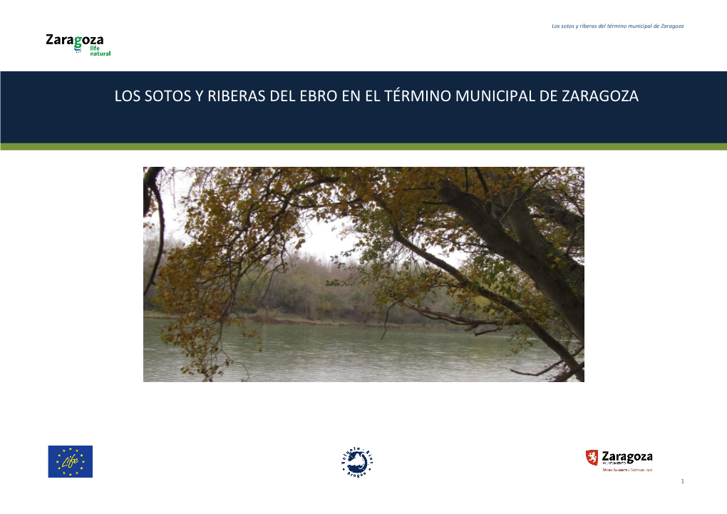Los Sotos Y Riberas Del Ebro En El Término Municipal De Zaragoza