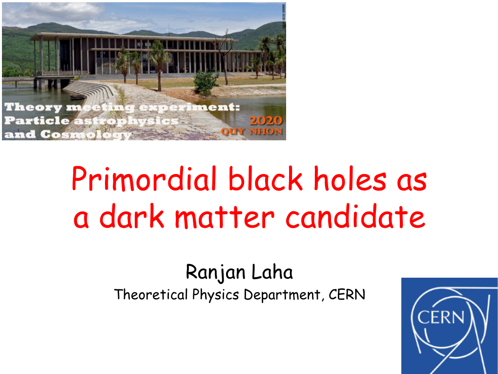 Primordial Black Holes As a Dark Matter Candidate