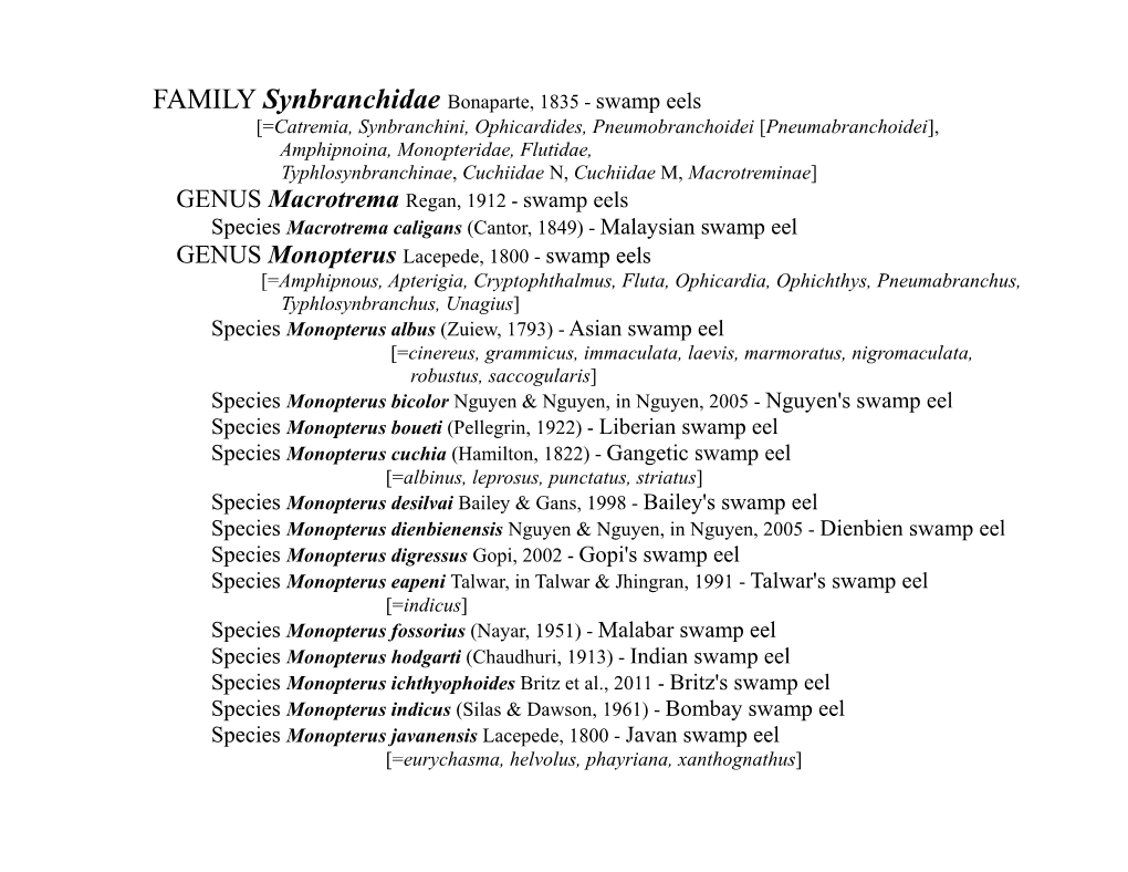 Synbranchidae