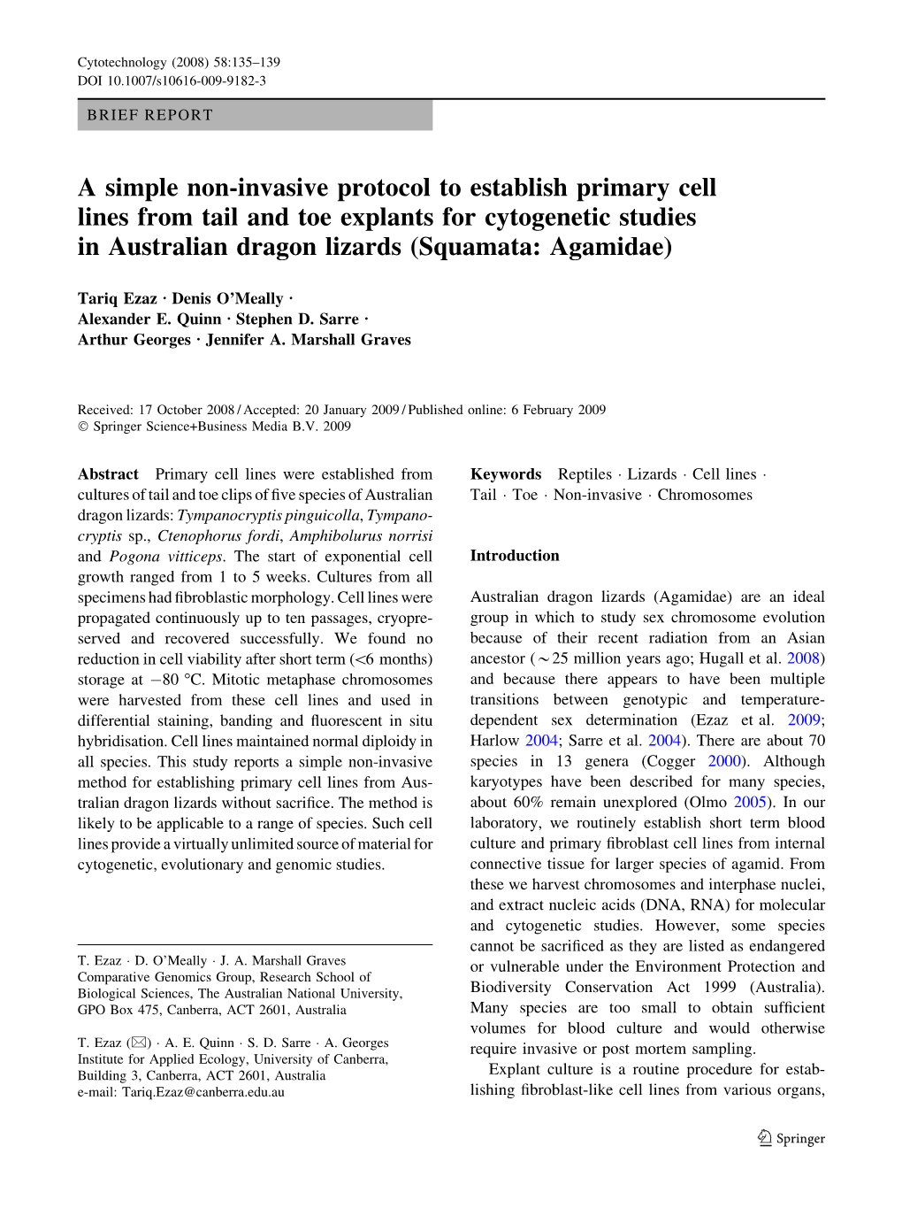 A Simple Non-Invasive Protocol to Establish Primary Cell Lines from Tail and Toe Explants for Cytogenetic Studies in Australian Dragon Lizards (Squamata: Agamidae)