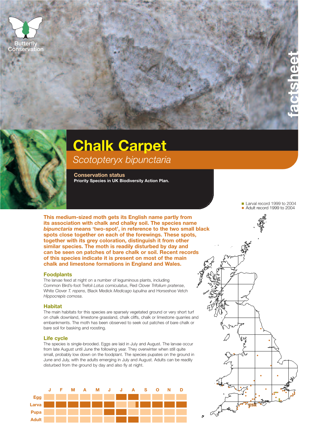Chalk Carpet Priority Species Factsheet