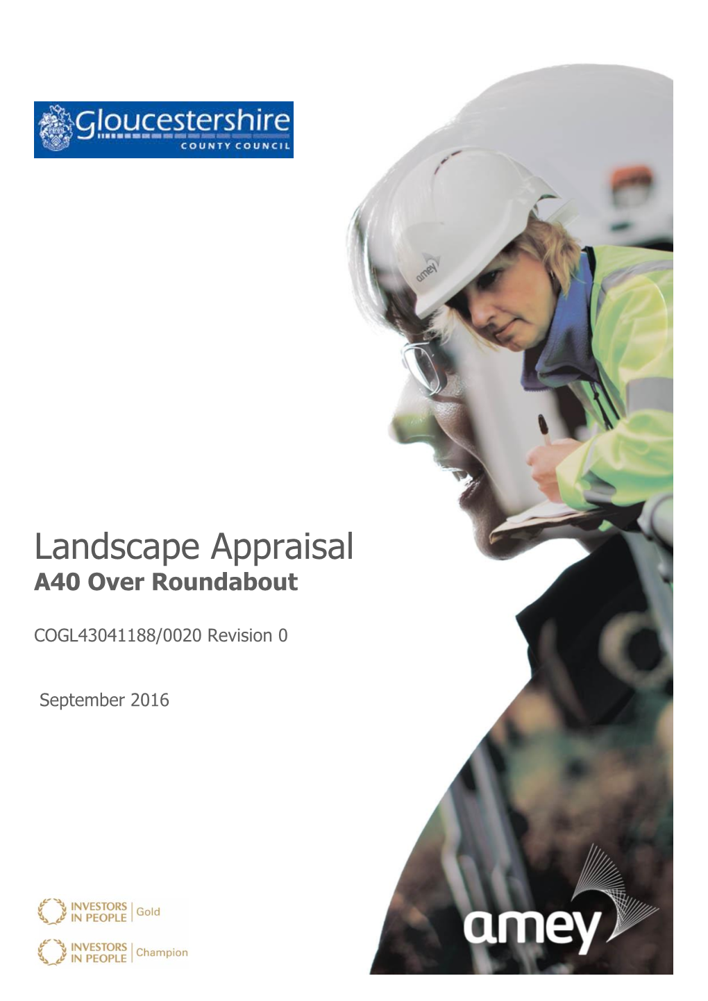 A40 Over Landscape Appraisal