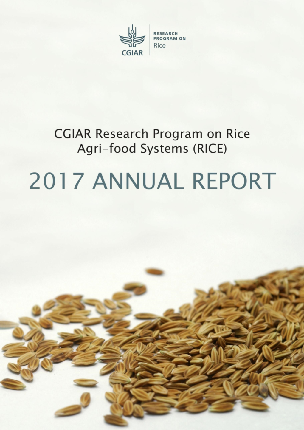 RICE Annual Report 2017