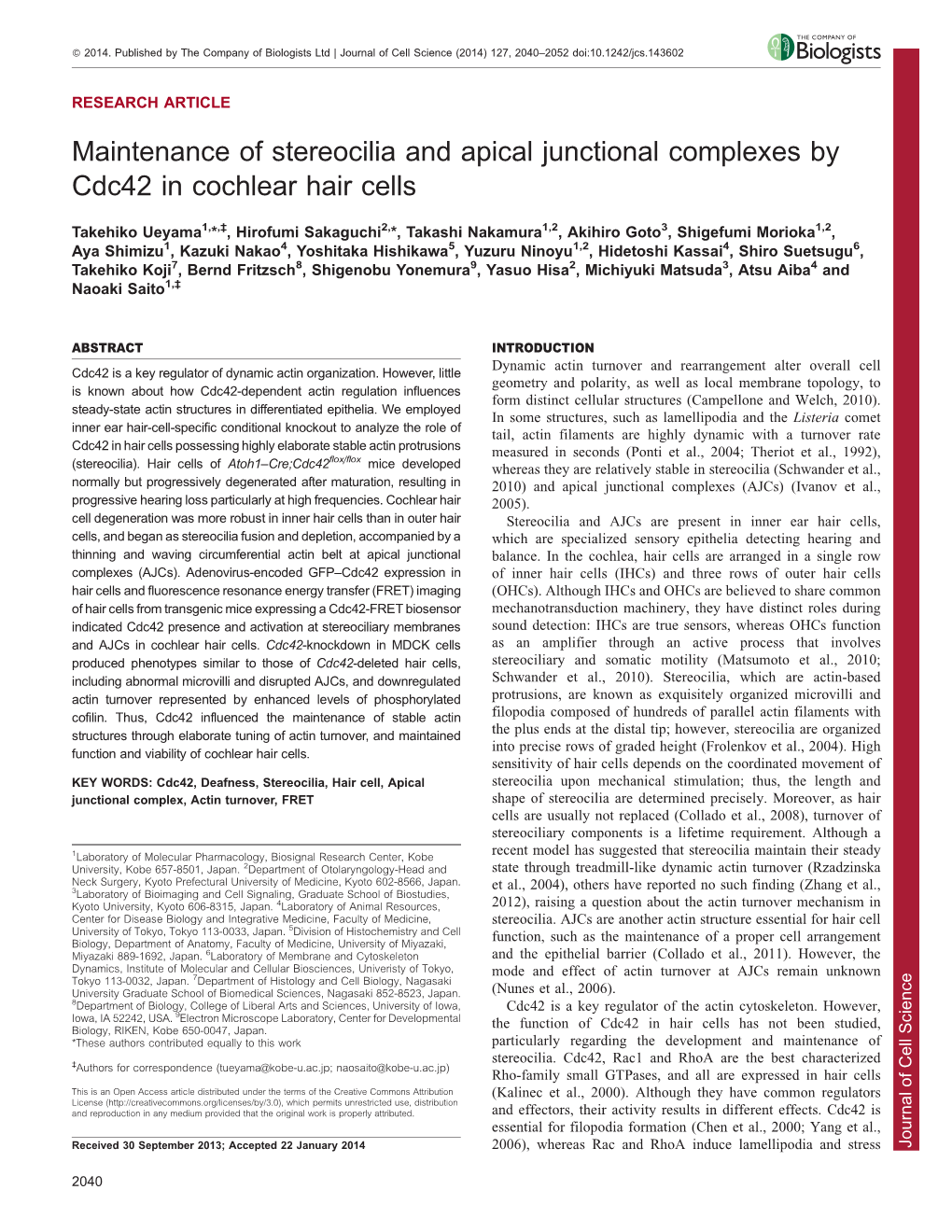 Maintenance of Stereocilia and Apical Junctional Complexes by Cdc42 In