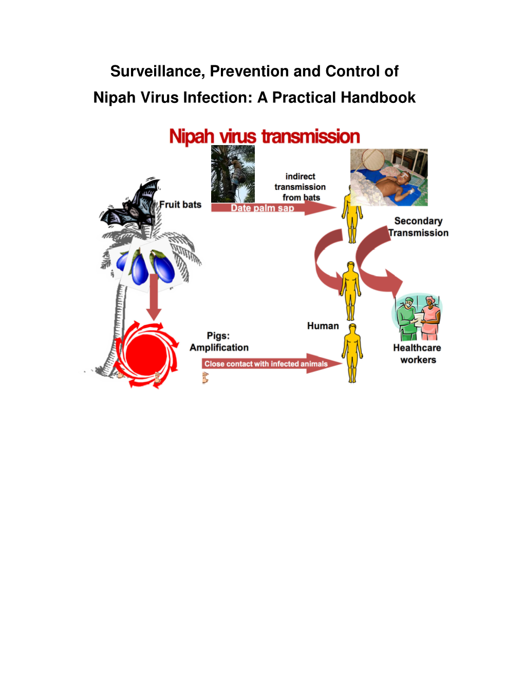Surveillance, Prevention and Control of Nipah Virus Infection: a Practical Handbook