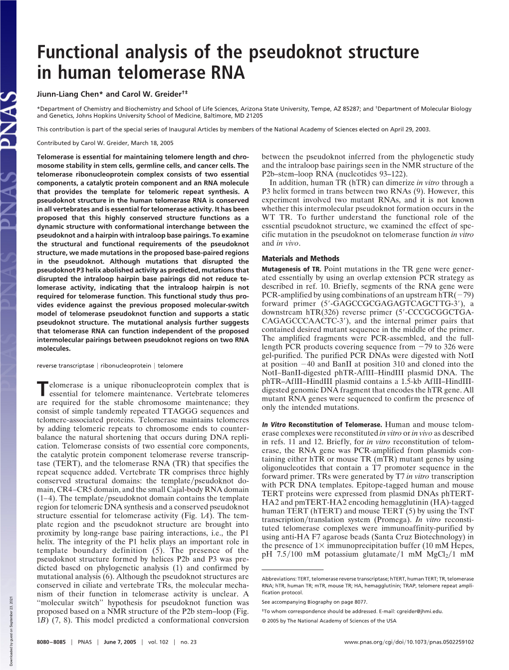 Functional Analysis of the Pseudoknot Structure in Human Telomerase RNA