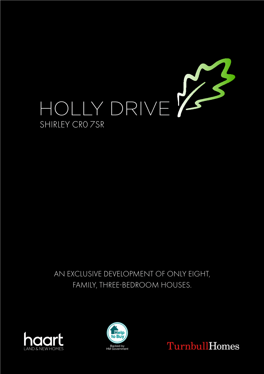 Holly Drive Shirley Cr0 7Sr