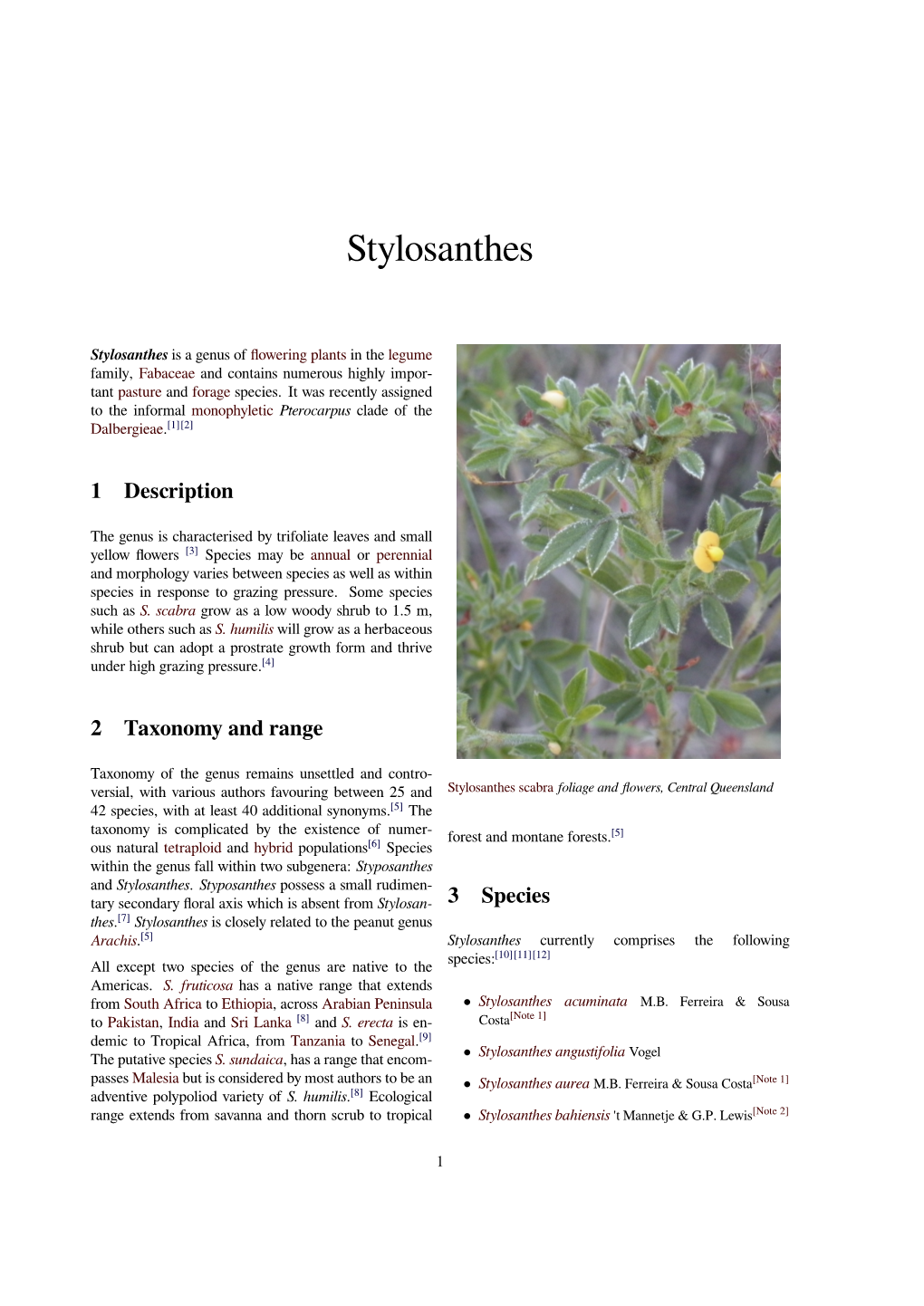 Stylosanthes